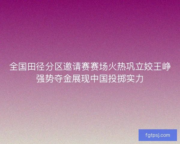 全国田径分区邀请赛赛场火热巩立姣王峥强势夺金展现中国投掷实力